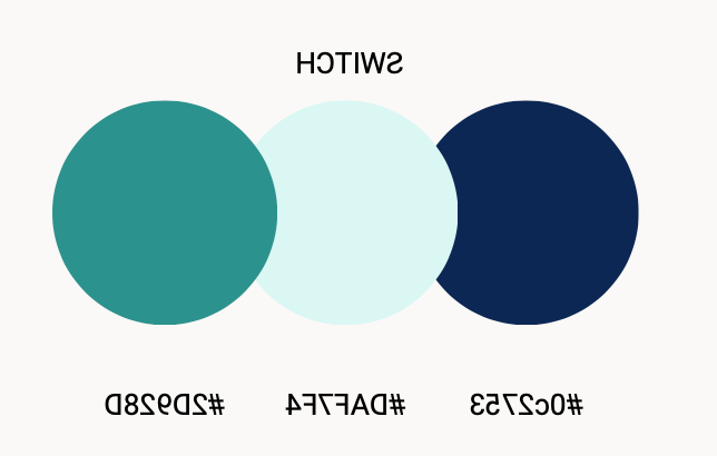 NMT Switch color palette image